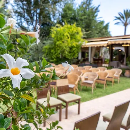 Otel Tossal D'altea Altea