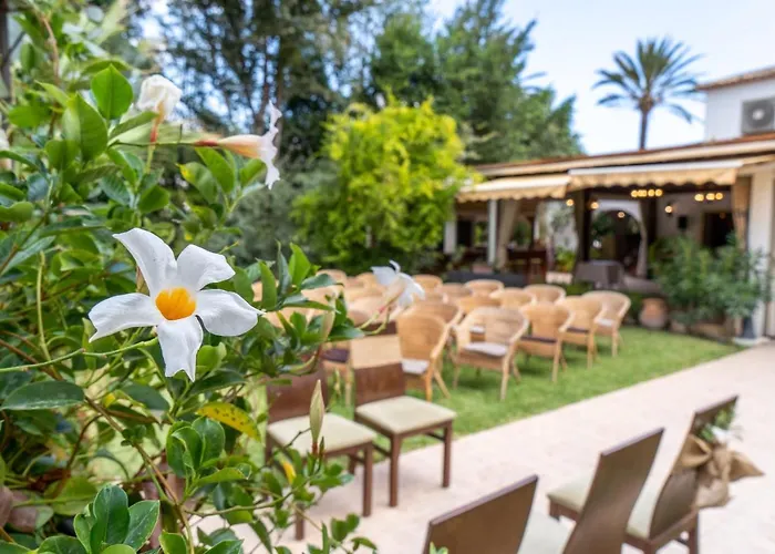 Hotel Tossal D'altea Altea